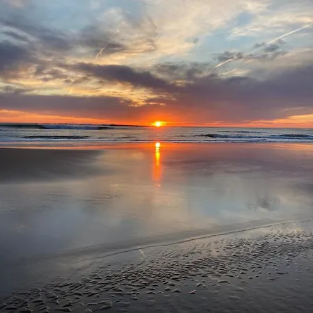 Cosy En Centre شقة