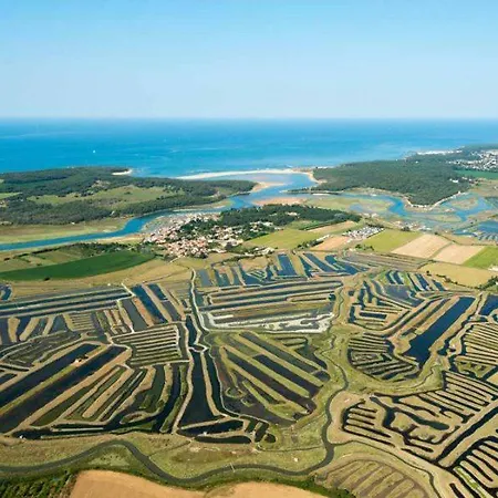 Cosy En Centre شقة